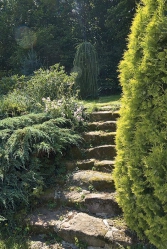 Z kamene vznikly i vyvýšené záhony, lavice a krásné „staré&quot; sešlapané zahradní schody.