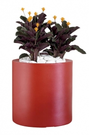 Calathea, cena od 285 Kč, květin&aacute;č Cilindro aigua, objem 20 l, cena 1 830 Kč, EGO&Eacute;