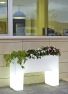 Svítící květináč z polyetylenu se samozavlažovacím systémem, rozměr 40 x 120 x 80 cm, cena od 24 580 Kč, EGOÉ, netýkavka, cena 35 Kč/ks, FLOREN