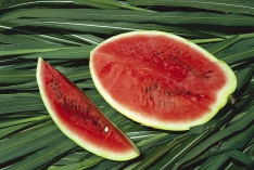 Meloun vodní má červenou nebo žlutou barvu dužniny