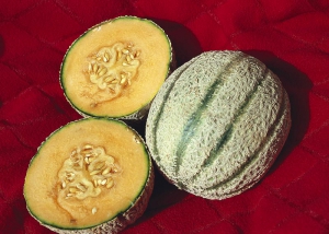 Pro šťavnaté plody odrůd melounu cukrového je typická jemná delikátní vůně dužniny
