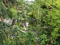 V jezeře, které má 80 m² vodní plochy, se uprostřed zrcadlí smrk východní (Picea orientalis ´Aureospica´). V popředí zakrslé hosty