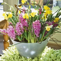Narcisy zkombinované s růžovými hyacinty a větvičkami lísky navodí náladu prvních prosluněných jarních dnů