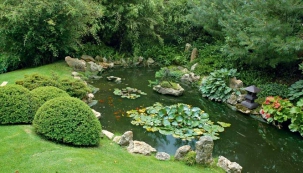 Živá voda pro zdravou zahradu