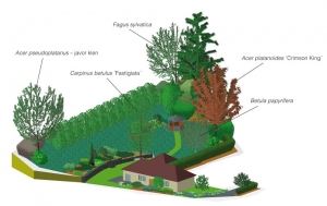 Návrh zahrady