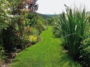 Trávníková cesta klikatící se mezi vyšší zelení je efektním prvkem zahrady.