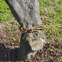 Hupcuk je nutno ukotvit tak, aby nedošlo k vyvrácení nesprávného stromu.
