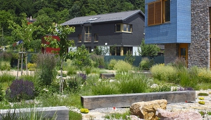 Organizovaná a divoká zahrada