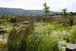 Pohled z obytné místnosti domu je veden přes zahradu na přilehlé kopce lemující údolí Berounky.