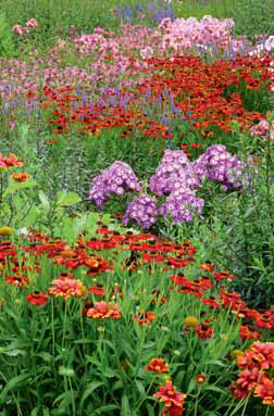 Po období sterilních kreací začínají v českých zahradách zase převládat barvy, tvary a květy.