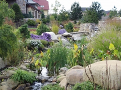 Významným architektonickým prvkem zahrady je vodní pramen. Voda vytékající z chrličů stéká po vodních schodech do řečiště s bohatou bažinnou a vodní vegetací.