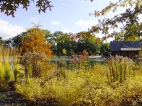 Podzimní barevná scenérie okolo rybníka. Pohled na rybárnu a pláž.
