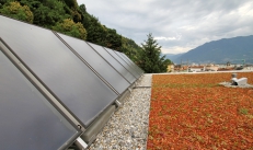 Solární kolektory ohřívají vodu v zásobníku umístěném v suterénu. Voda ze zelené střechy je odváděna do nádrže na zalévání na zahradě. Také slunolam je možné osadit zelení.