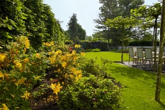 Předsadbu habrového plotu tvoří záhon s azalkami, rododendrony a podrostovýni trvalkami s cibulovinami.