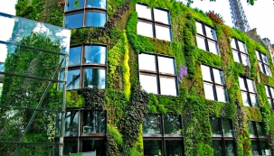Vertikální zahrady Patricka Blanca krášlí mnoho staveb v Paříži. Jím patentovaná zelená stěna je využitelná na mnoho způsobů...
