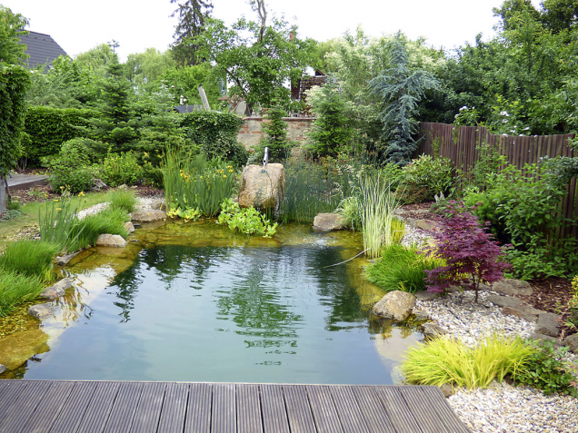 Stará a dobře „prokořenělá“ zahrada si žádala změnu. Voda do ní vnesla život (2)