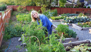 Na konci sezóny bývá zahrada nejštědřejší. Můžete si vychutnávat čerstvé plody, připravovat domácí pokrmy či uschovávat přebytky. Poznáváte, že zahrada může být krásná a zároveň i užitečná po celý rok.