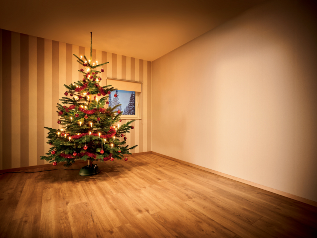 Vánoční stromek (Zdroj: Hornbach)