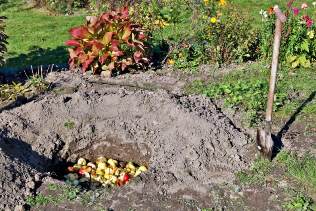 Pokud máte zahrádku příliš malou a kompost by se u vás „neuživil“, můžete zahradní i kuchyňské odpady ukládat rovnou do záhonu, aby z nich rostliny mohly postupně čerpat živiny
