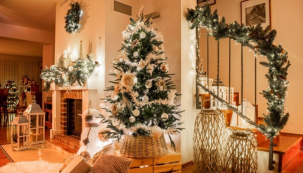 K Vánocům neodmyslitelně patří stromeček, který se na Štědrý den rozzáří v celé své kráse (zdroj: Mountfield)