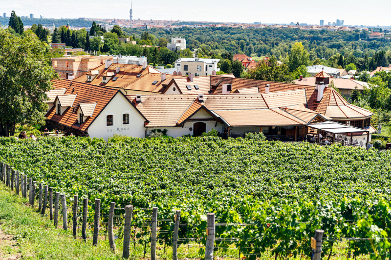 Restaurant a vinařství Salabka v Praze využívá k vytápění i chlazení dvě tepelná čerpadla systému země/voda IVT Greenline D 36 a D 42 Zdroj: Restaurant a vinařství Salabka