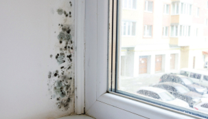 Řasy a plísně představují zdravotní riziko