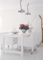 Vhodnou dekorací pro jídelní stůl je květináč s bramboříky, které vytvářejí záplavu barevných květů, cena 60 Kč.