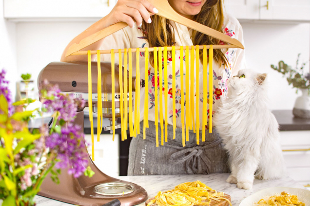 Blog Cat and Cook funguje od srpna 2015, v současnosti má více než 40 000 návštěv za měsíc a na Instagramu jej sleduje 23,5 tisíc fanoušků. V prosinci 2017 se Ivana začala naplno věnovat blogování, spustila youtube kanál a začala natáčet mimo jiné food tutoriály. V letošním roce oznámila plánované vydání knihy na počest její nemocné kočky (Cat &amp;amp; Cook = kočka a kuchařka). (Zdroj: Miele.cz, Catandcook.cz)