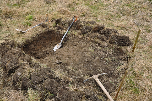 V jílovité udusané půdě je základem nového záhonu pořádná jáma o hloubce kolem 0,5 m. Mnoho zelenin koření vlásečnicovitými kořeny ještě mnohem hlouběji. Zelí a fazole cca do 1 metru, řepa až do 3 metrů, když může. Když vytvoříte propustné a zároveň vláhu zadržující podloží, pěstování všeho bude snadnější a úspěšnější.