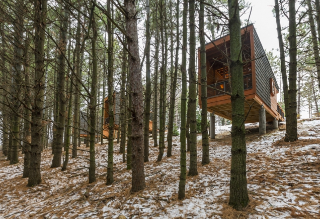 2016 AIA Housing Awards: Chatky v chráněné oblasti Whitetail Woods, Minnesota (Foto: Paul Crosby)