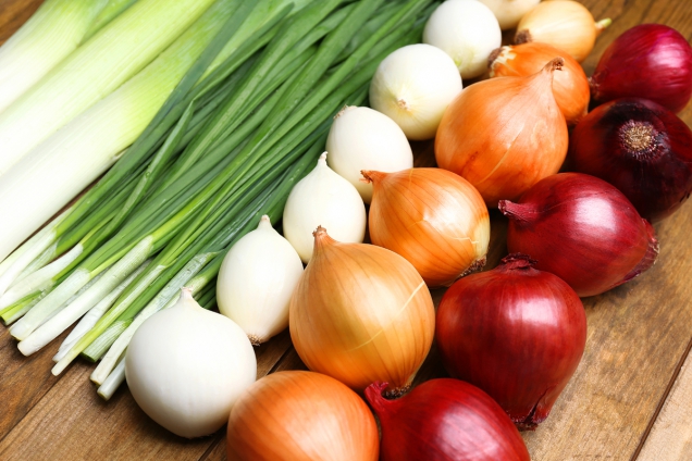 Velmi důležitý je poznatek, že rozkrojená cibule začíná být po 24 hodinách skladování toxická, požití rozkrojené či nakrájené cibule může vést ke vzniku nesnášenlivosti až alergie na cibuli!