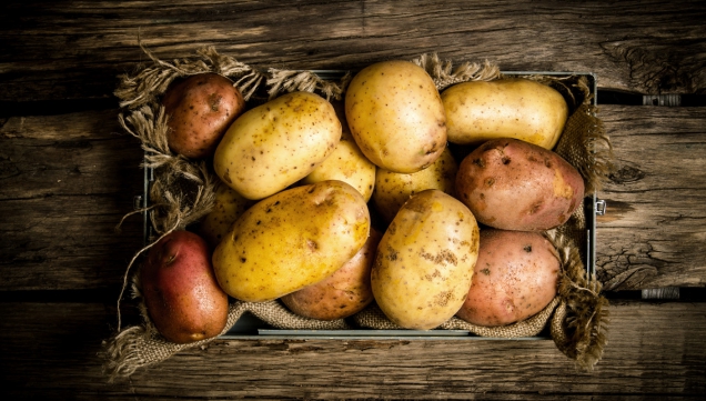 Ke skladování vybírejte jen ty odrůdy, které jsou k tomu určené, to znamená odrůdy s delší vegetační dobou. Velmi rané odrůdy jsou určeny k okamžité spotřebě nebo krátkodobému skladování maximálně do konce roku.