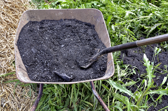 Drcené dřevěné uhlí je téměř magická zúrodňovací substance. Poskytuje ubytovací prostory půdním mikroorganismům a vylepšuje půdní strukturu.