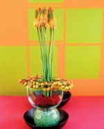Kniphofia a jiřinky (Dahlia) jsou zasunuty do vázy s barevnými korálky a kombinovány s jablíčky (Malus)