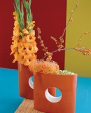 Kontrastní tvary v oranžové barvě - laskavec (Amaranthus), jesenec (Celastrus), mečík (Gladiolus) a Leucospermum