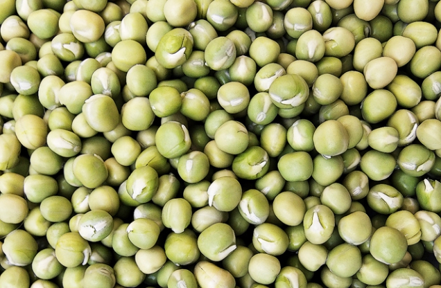 Prastará pochoutka během Adventu i na Štědrý den – naklíčený hrách. Syrový má spoustu vitaminů. Při nakličování proplachujte, aby voda nezkvasila. Konzumujte nabobtnalý s rýsujícím se klíčkem. Naklíčený hrách můžete pražit na plechu v troubě.