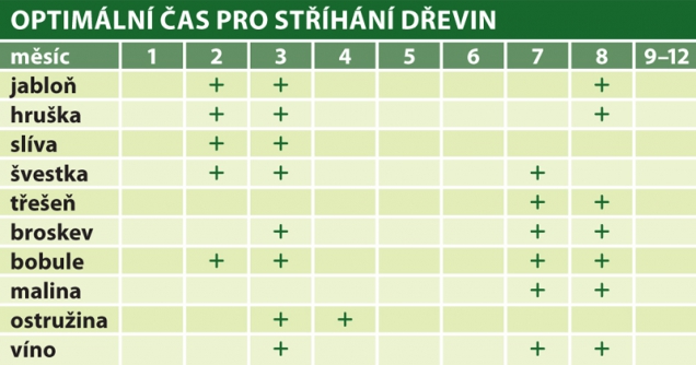 Optimální čas pro ořez dřevin