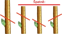 Pravidla správného řezu: první ukázka je správně, další tři nikoli.
