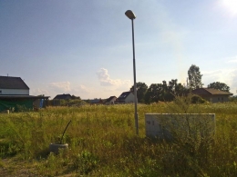Součástí Ivčiny zahrady bude pergola a bazén. Chybět ale nebude ani výběh pro želvy