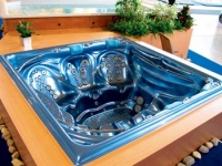 Hydroterapeutické možnosti spa jsou obrovské, jak je vidět z obrázku Master comfort CLUB spa (USSPA). Rozložení a typ trysek vychází z masážních technik šiacu, turecké a vějířové masáže. l Minibazén pro šest osob nabízí celkem 98 vodních a 12 vzduchových trysek. Cena 430 000 Kč bez DPH, USSPA