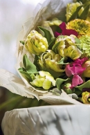 Něžně barevnou kytici zvýrazňují fialové a tmavě růžové hrachory. Bílé skeletové listy tvoří přírodní manžetu (Tulipa, Lathyrus, Viburnum)