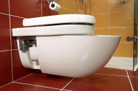 WC mísa Sunbarry s patentovaným systémem Pur Air je vhodná do společné místnosti s koupelnou - poté, co váhový detektor zaregistruje uživatele, zaktivuje se senzor pachů, jenž pomocí ventilátoru odsaje pach vzduchovými kanálky přes filtrační systém