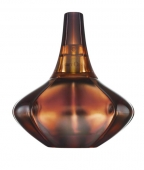 Dámská vůně Secret Obsession, toaletní voda 100 ml, cena 1 900 Kč, FANN