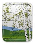 Servírovací tác MARIMEKKO, cena od 1 100 Kč (DESIGNOR)