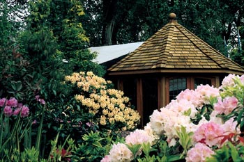 Penišníky (Rhododendron)