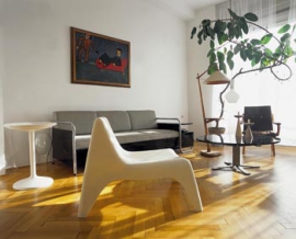 Křeslo z IKEA (design Thomas Sandell) má dokonalý tvar. Vzrostlému fíkusu je už šedesát let