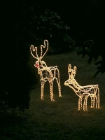Jelínci Rudolf potěší hlavně malé děti. LED, výška 60 a 90 cm, cena se pohybuje od 1 960 Kč (BON JOUR ILLUMINATION)