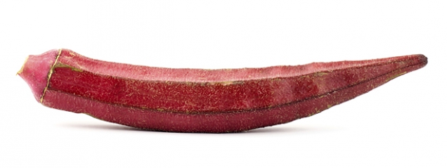 Červená varianta Okra burgunda
