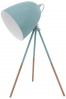 Stolní lampa Eglo Dundee, možnost natáčení, ocel, výška 44 cm, cena 939 Kč, www.hornbach.cz