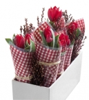 Variace červených tulipánů, cena bez dekorace cca 500 Kč, FLOREN